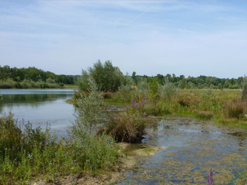 Les milieux naturels franciliens