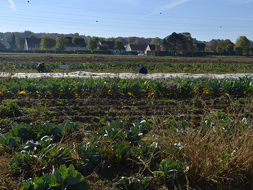 Trois portraits d'agriculteurs