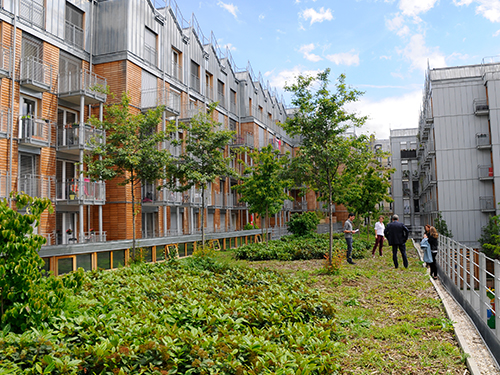 Aménager, bâtir et rénover en favorisant la biodiversité