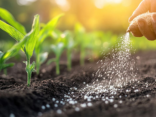 Valoriser les nutriments excrétés par les Franciliens