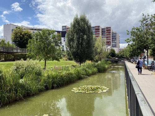 (Ré)intégrer la nature en ville