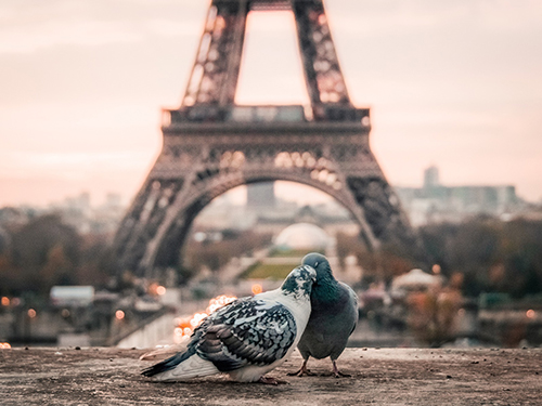 Peut-on vivre heureux dans le Grand Paris ?