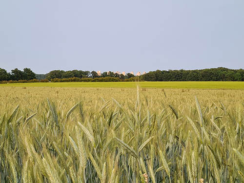 L’Île-de-France, une grande région agricole et alimentaire