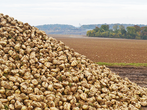 Vers une dynamique de préservation et de modernisation des espaces agricoles