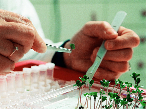 « Science et alimentation ne sont pas nécessairement fâchées ! » Regards croisés entre un chercheur et un philosophe