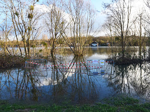 Biodiversité et changement climatique : quelles interdépendances ? Biodiversité et changement climatique : quelles interdépendances ?