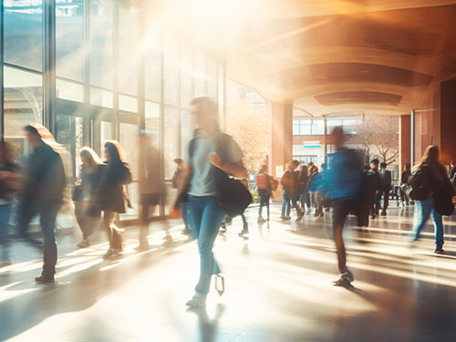 Panorama régional de l'accessibilité aux établissements d'enseignement supérieur