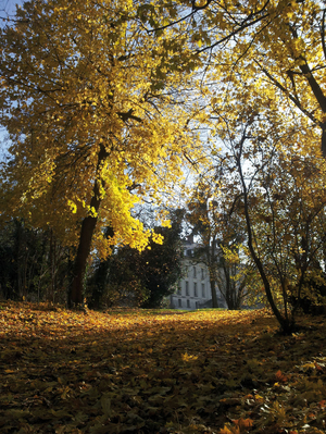 photo : Parc boisé avec le château de Morsang-sur-Orge en arrière-plan