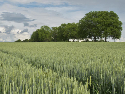 Centre de ressources pour l'adaptation au changement climatique : outils & méthodes