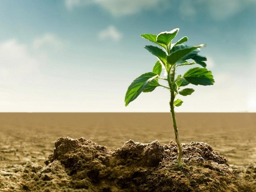 Centre de ressources pour l'adaptation au changement climatique : comprendre