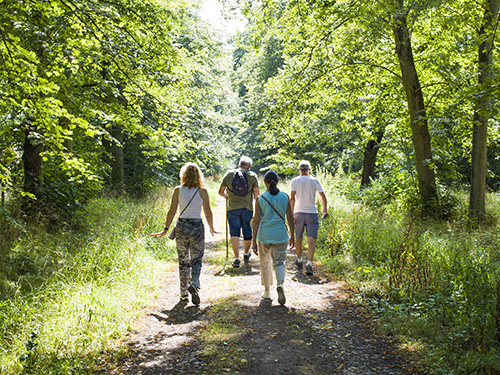 Plan régional d’adaptation au changement climatique (PRACC)