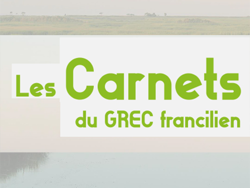 La biodiversité : dynamiques et enjeux La biodiversité : dynamiques et enjeux