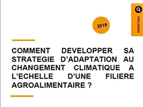 Comment développer sa stratégie d'adaptation au changement climatique à l'échelle d'une filière agroalimentaire ?