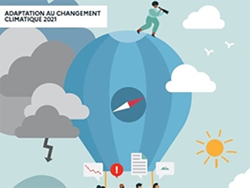 Entreprises, comment prendre des décisions pour s'adapter au changement climatique ?