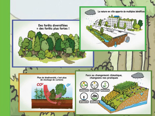 La nature : une solution au changement climatique (2015)