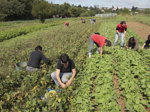 La construction collective des territoires