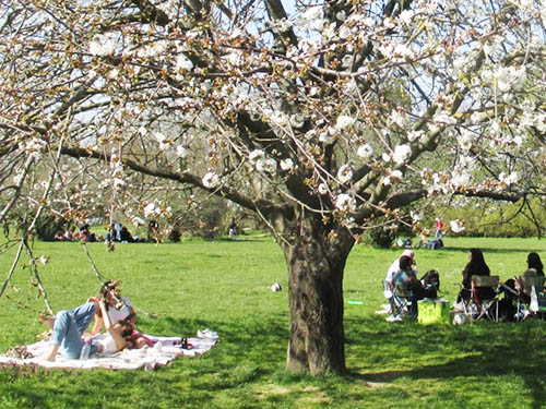 Projets pilotes pour une métropole nature