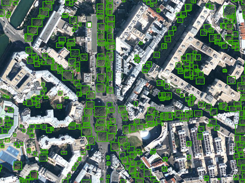 26 millions d'arbres en Île-de-France