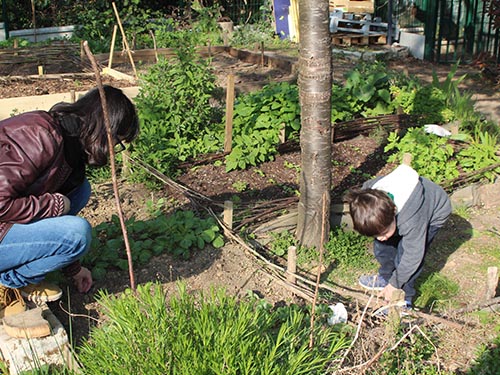 Familial ou partagé : les citadins franciliens de plus en plus adeptes du jardinage