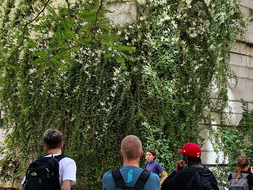 Prendre en compte la biodiversité dans l’aménagement opérationnel