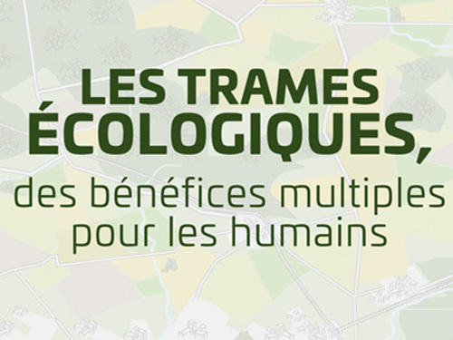 Les Trames écologiques : des bénéfices multiples pour les humains