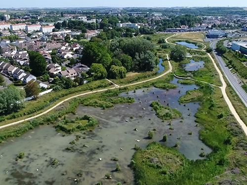 Cycle de webinaires "Solutions fondées sur la Nature" : comment adapter mon territoire aux changements climatiques ?