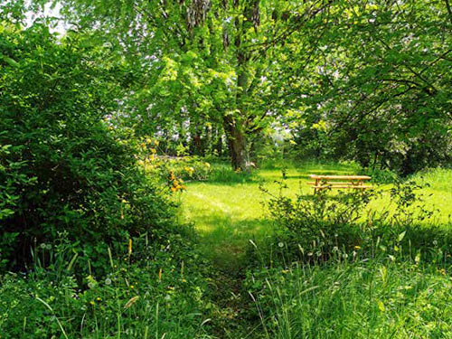 Accueillir la biodiversité dans son jardin