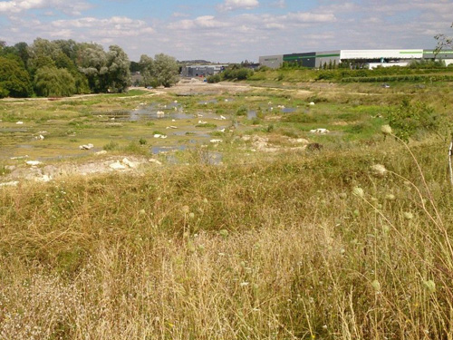 Mieux gérer l’eau à la surface de la ville : l’exemple de six quartiers franciliens