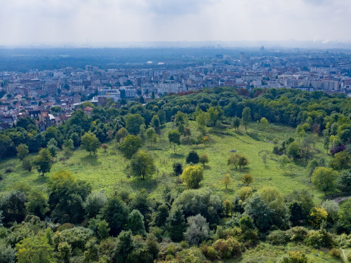 Parc des Hauteurs