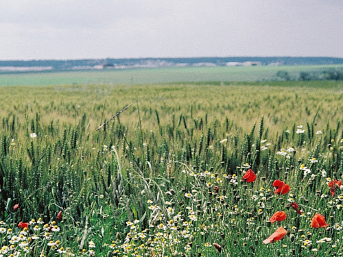 L'environnement en Île-de-France