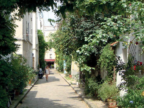 Redécouvrir la nature en ville